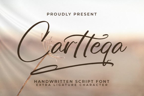 Cartteqa: A Refined Script Amp for Modern Editorial Design