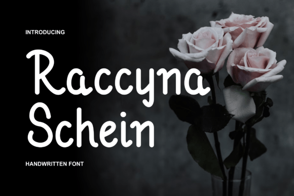 Raccyna Schein: A Modern Display Font for Editorial Identity