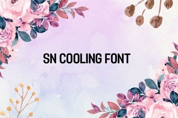 Sn Cooling Typeface: Elevating Editorial Design with Grace