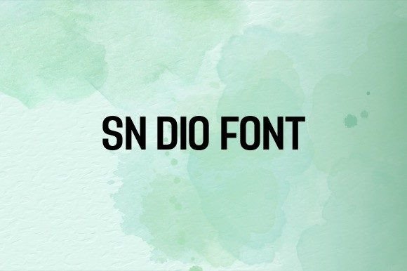 Sn Dio: A Designer’s Honest Review of This Script Amp